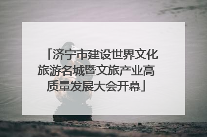 济宁市建设世界文化旅游名城暨文旅产业高质量发展大会开幕