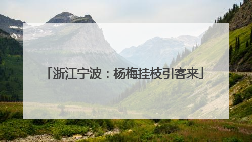 浙江宁波：杨梅挂枝引客来