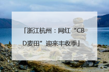 浙江杭州：网红“CBD麦田”迎来丰收季