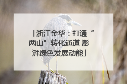 浙江金华：打通“两山”转化通道 澎湃绿色发展动能