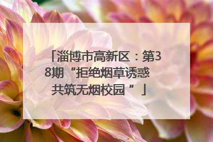 淄博市高新区：第38期“拒绝烟草诱惑 共筑无烟校园 ”