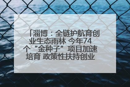 淄博：全链护航育创业生态雨林 今年74个“金种子”项目加速培育 政策性扶持创业9754人