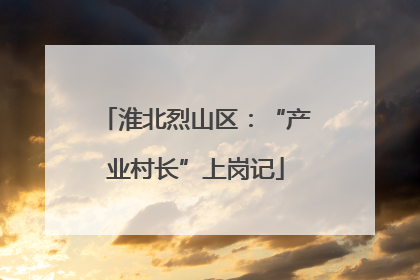 淮北烈山区：“产业村长”上岗记