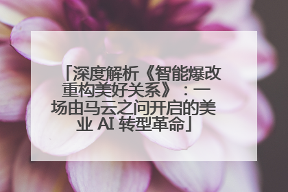 深度解析《智能爆改 重构美好关系》：一场由马云之问开启的美业 AI 转型革命