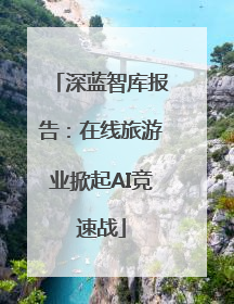 深蓝智库报告：在线旅游业掀起AI竞速战