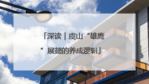 深读｜虞山“雄鹰”展翅的养成逻辑