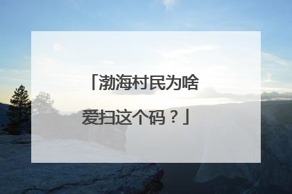 渤海村民为啥爱扫这个码？