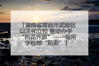 湖南省常德市武陵区以文化立校 推动办学“百花齐放”——每所学校都“精彩”