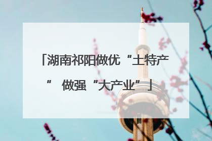 湖南祁阳做优“土特产” 做强“大产业”
