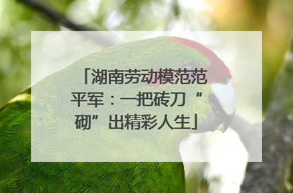 湖南劳动模范范平军：一把砖刀“砌”出精彩人生