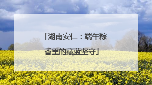 湖南安仁：端午粽香里的藏蓝坚守