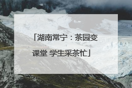 湖南常宁：茶园变课堂 学生采茶忙