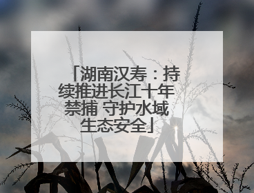 湖南汉寿：持续推进长江十年禁捕 守护水域生态安全