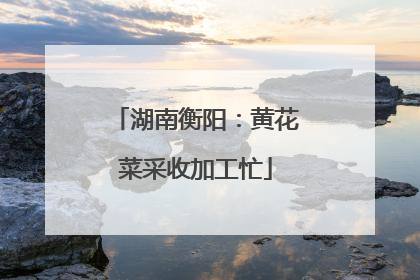 湖南衡阳：黄花菜采收加工忙