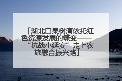 湖北白果树湾依托红色资源发展的蝶变——“抗战小延安”走上农旅融合振兴路