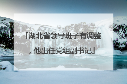 湖北省领导班子有调整，他出任党组副书记