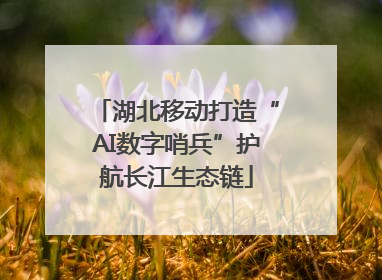 湖北移动打造“AI数字哨兵”护航长江生态链