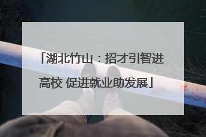 湖北竹山：招才引智进高校 促进就业助发展
