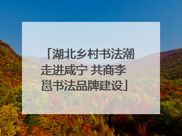 湖北乡村书法潮走进咸宁 共商李邕书法品牌建设