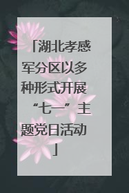 湖北孝感军分区以多种形式开展“七一”主题党日活动
