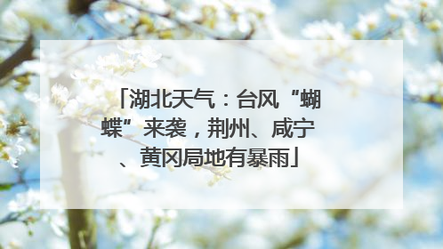 湖北天气：台风“蝴蝶”来袭，荆州、咸宁、黄冈局地有暴雨