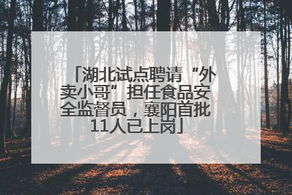 湖北试点聘请“外卖小哥”担任食品安全监督员，襄阳首批11人已上岗