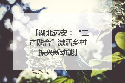 湖北远安：“三产融合”激活乡村振兴新动能
