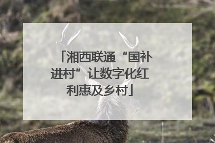 湘西联通“国补进村”让数字化红利惠及乡村