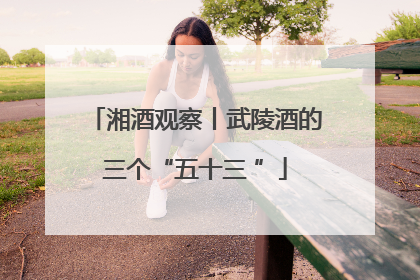 湘酒观察丨武陵酒的三个“五十三 ”
