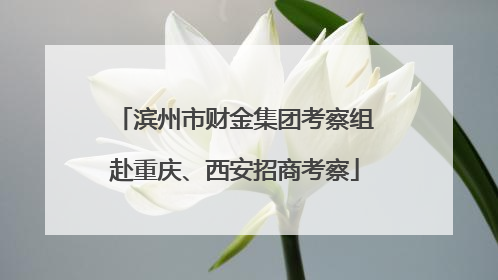 滨州市财金集团考察组赴重庆、西安招商考察