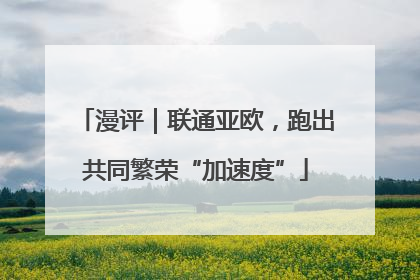 漫评｜联通亚欧，跑出共同繁荣“加速度”