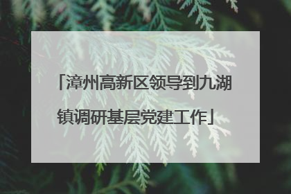 漳州高新区领导到九湖镇调研基层党建工作