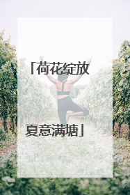 荷花绽放 夏意满塘