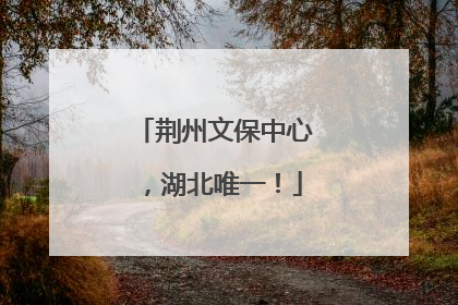 荆州文保中心，湖北唯一！