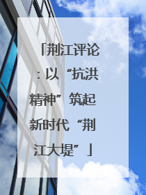 荆江评论：以“抗洪精神”筑起新时代“荆江大堤”