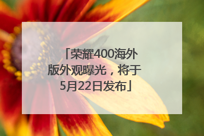 荣耀400海外版外观曝光，将于5月22日发布