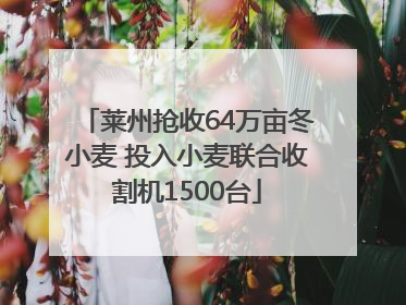 莱州抢收64万亩冬小麦 投入小麦联合收割机1500台