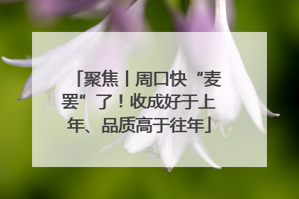 聚焦丨周口快“麦罢”了！收成好于上年、品质高于往年