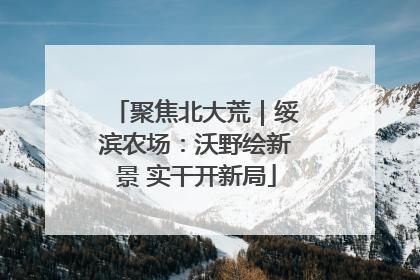 聚焦北大荒｜绥滨农场：沃野绘新景 实干开新局