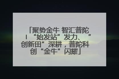 聚势金牛 智汇普陀〡“始发站”发力、“创新田”深耕，普陀科创“金牛”闪耀