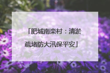 肥城南栾村：清淤疏堵防大汛保平安