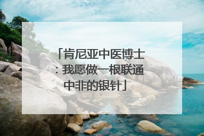 肯尼亚中医博士：我愿做一根联通中非的银针