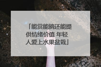 能赏能摘还能提供情绪价值 年轻人爱上水果盆栽