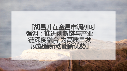 胡昌升在金昌市调研时强调：推进创新链与产业链深度融合 为高质量发展塑造新动能新优势