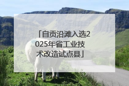 自贡沿滩入选2025年省工业技术改造试点县
