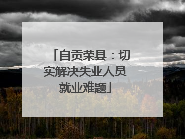 自贡荣县：切实解决失业人员就业难题