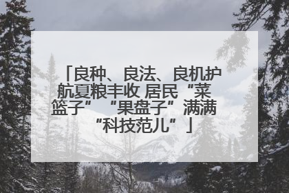 良种、良法、良机护航夏粮丰收 居民“菜篮子”“果盘子”满满“科技范儿”