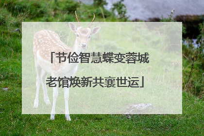 节俭智慧蝶变蓉城 老馆焕新共襄世运