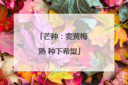 芒种：麦黄梅熟 种下希望
