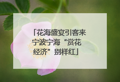 花海盛宴引客来 宁波宁海“赏花经济”别样红